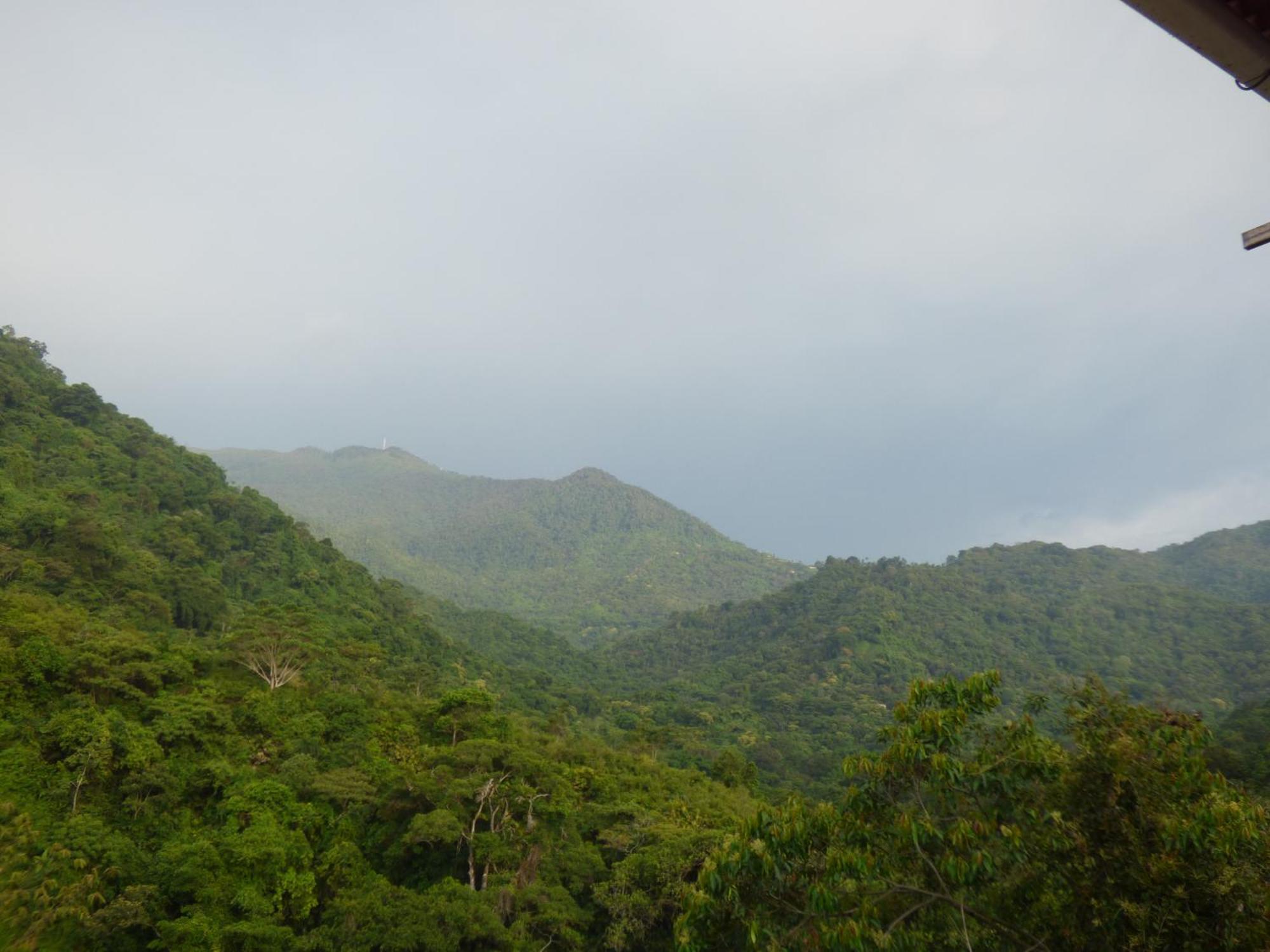 Alto De La Montana