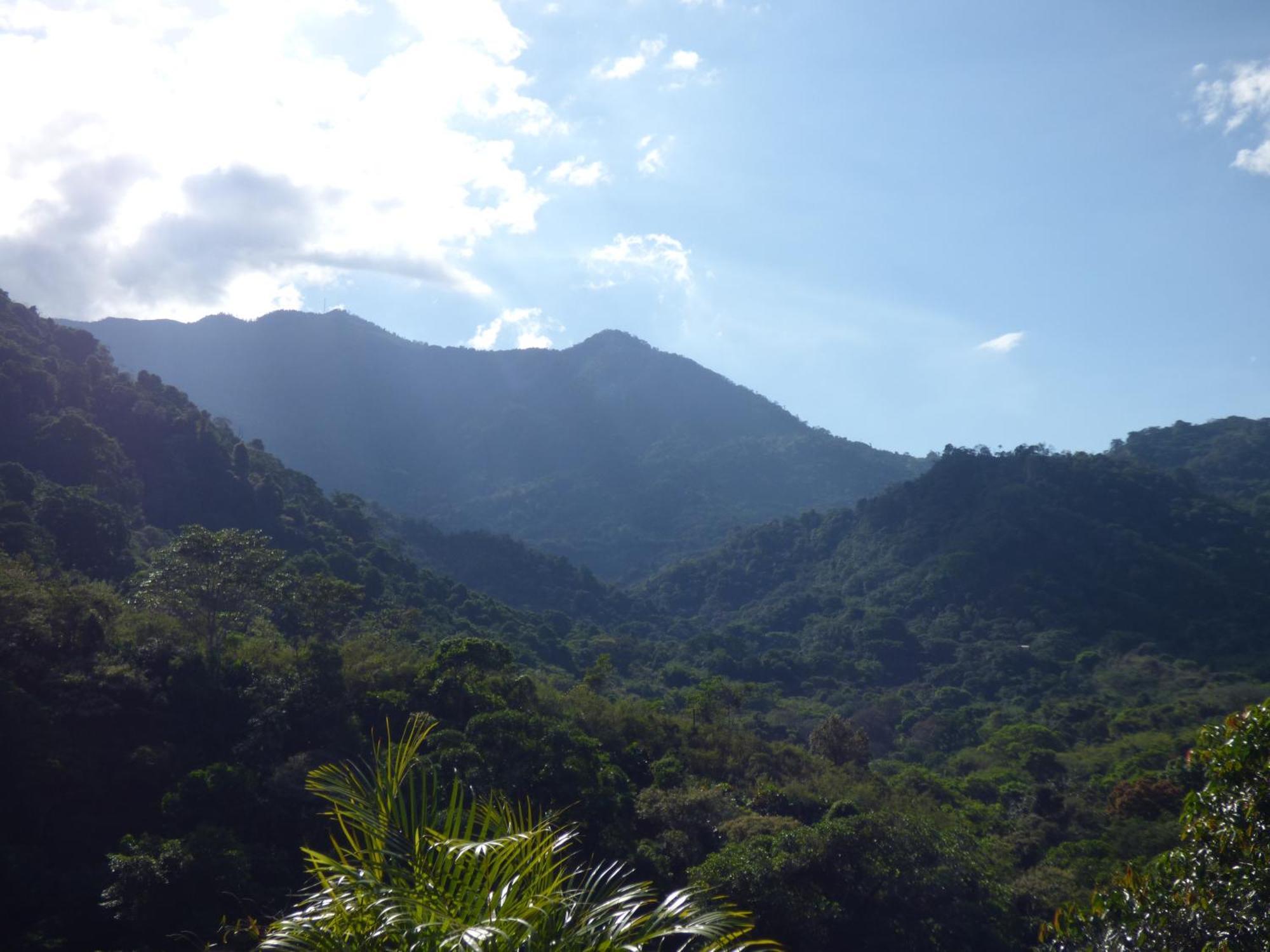 Alto De La Montana Minca