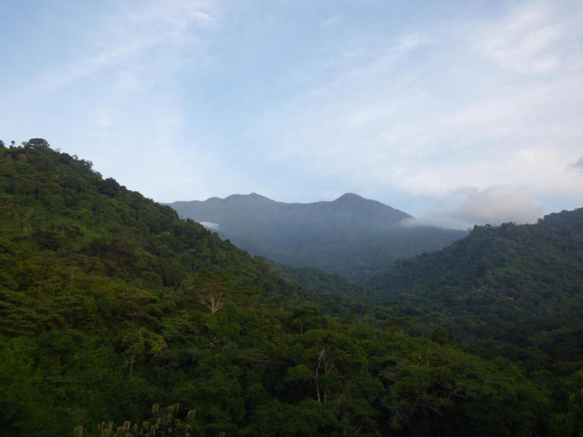 Alto De La Montana