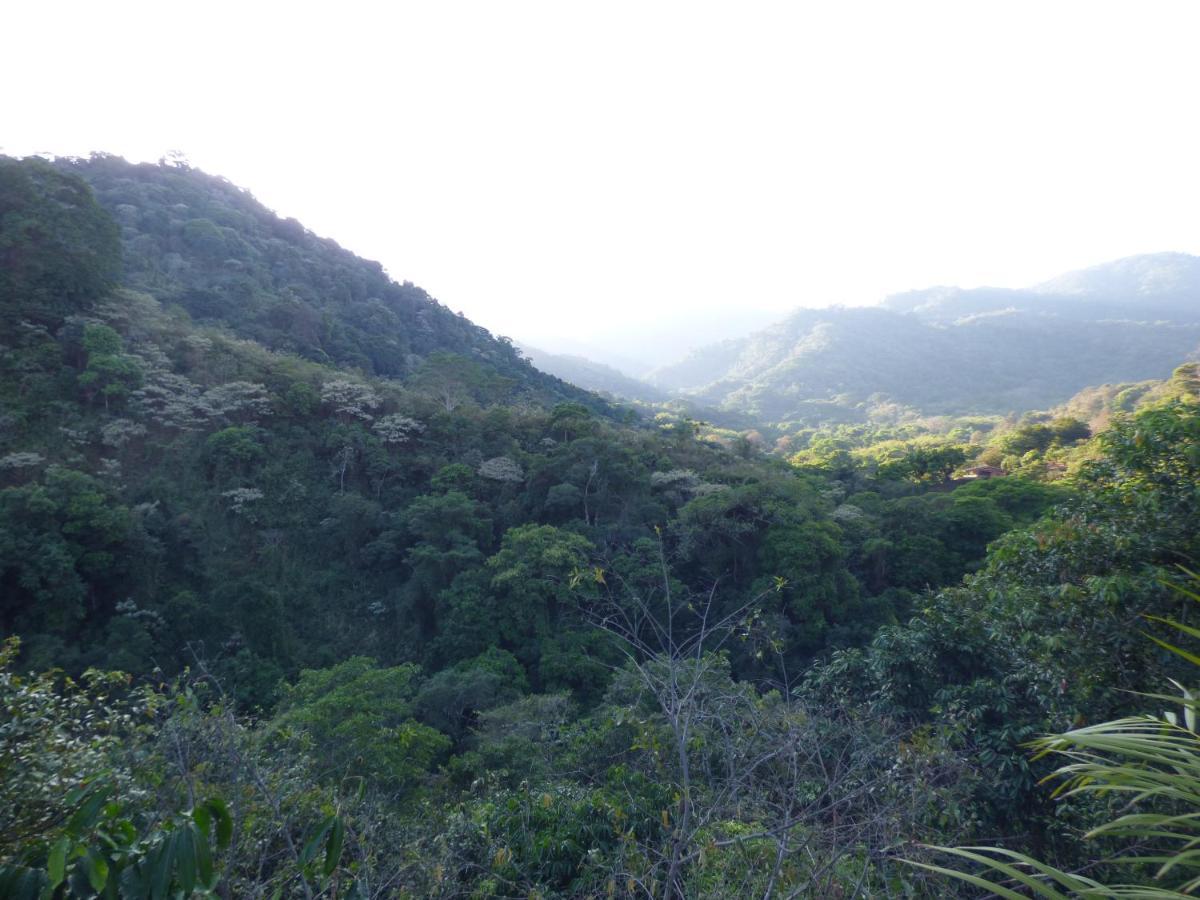 Alto De La Montana 2* Minca